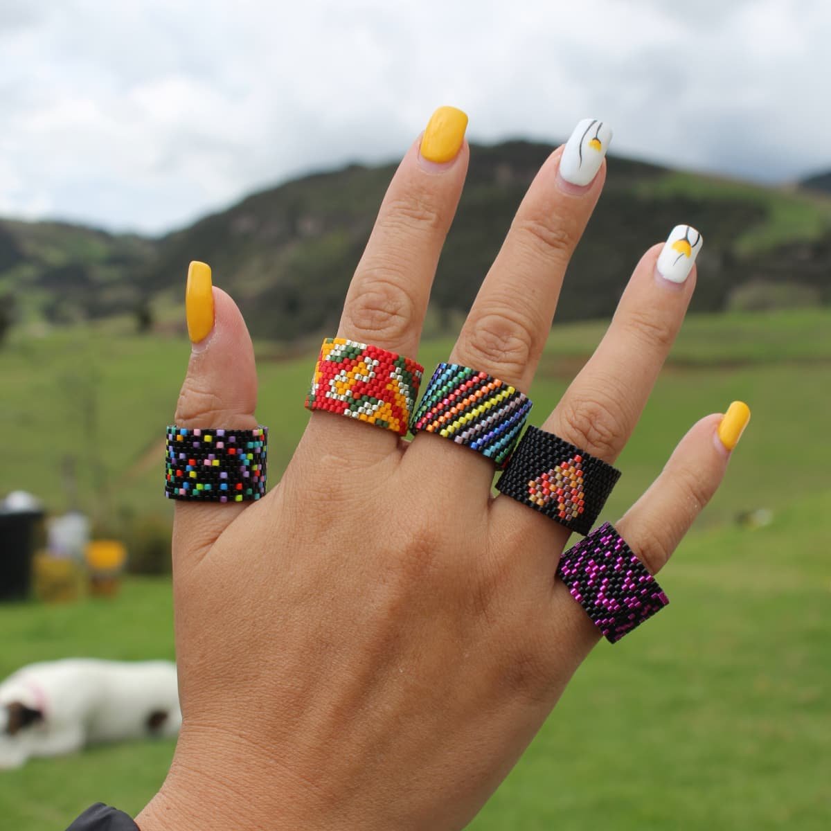 anillos para pagina
